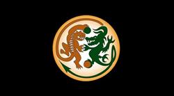 Tiger Dragon Kung Fu Martial Arts in Toronto, ON (Midtown Toronto) - Opening Hours