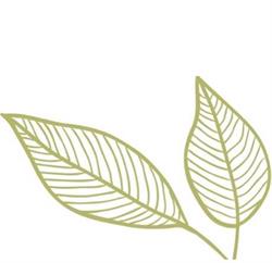 Urban Wellness in Toronto, ON (Little Italy) - Opening Hours