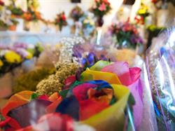 Grower Direct Red Deer Florist, opening hours