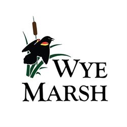 Wye Marsh Wildlife Centre, Midland, ON opening hours