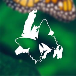 Newfoundland Insectarium, Reidville, NL opening hours