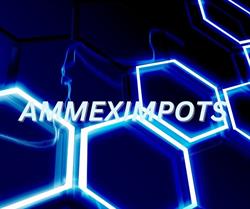 AMMEX IMPOTS INC, Gatineau, QC opening hours