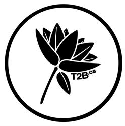 Transition to Betterness, Windsor, ON opening hours