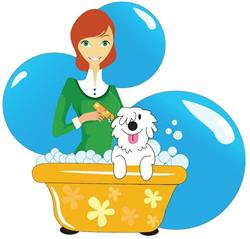 Barks n' Bubbles Pet Spa INC, Winnipeg, MB opening hours