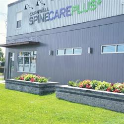 Cornwall Spine Care Plus, opening hours