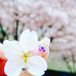 Charm Nail Spa in Vancouver, BC (Sunset) - Opening Hours