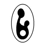 Kenora Midwives, opening hours