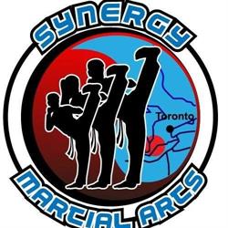 Synergy Martial Arts, Toronto, ON opening hours