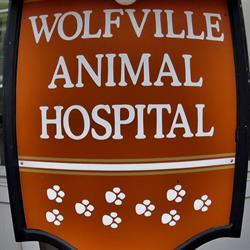 Wolfville Animal Hospital, opening hours