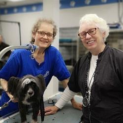 Brushcuts Professional Pet Grooming, Guelph, ON opening hours