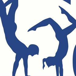 Selkirk Challengers Gymnastics Club, Castlegar, BC opening hours
