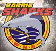 Barrie Women's Hockey Association, opening hours