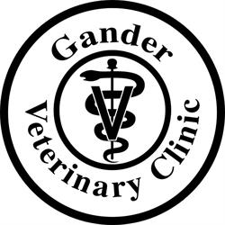 Gander Veterinary Clinic, opening hours
