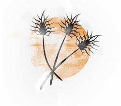 Grassland Massage @ The Powers & Jans Centre, Medicine Hat, AB opening hours