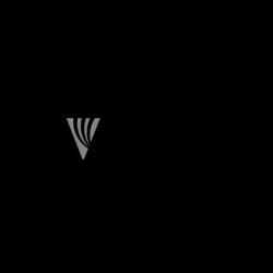 Avisar Chartered Professional Accountants, Langley, BC opening hours