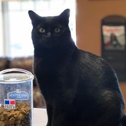 Country Club Animal Clinic, Grande Prairie, AB opening hours