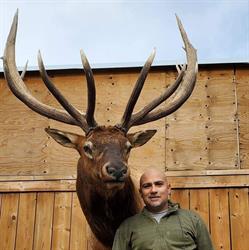 Mighty Bull Taxidermy in Calgary, AB (Manchester Industrial) - Opening Hours