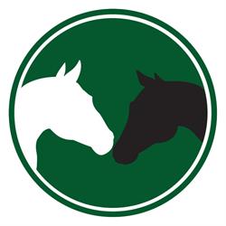 Back of Beyond Equine Centre, Huntsville, ON opening hours