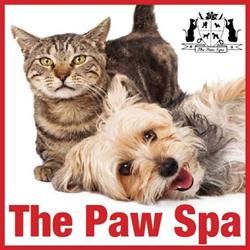 The Paw Spa, Lakefield, ON opening hours
