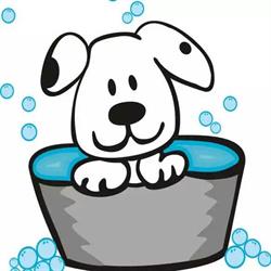 Super Suds Dog Grooming, Georgetown, ON opening hours