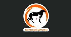 Hamilton vet - Queensdale Animal Hospital, opening hours