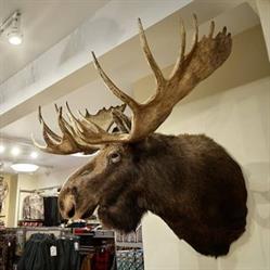 Hougen's Sportslodge, Whitehorse, YT opening hours