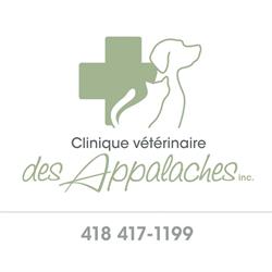 Clinique Vétérinaire des Appalaches inc, Saint-Lambert-de-Lauzon, QC opening hours