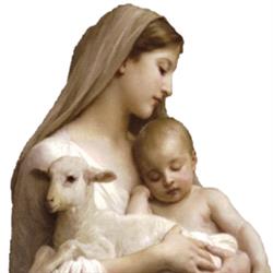 Mary, Mother of the Redeemer in Calgary, AB (Hillhurst) - Opening Hours