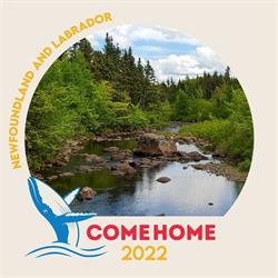 Town of Gambo, opening hours