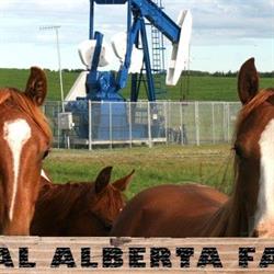 Central Alberta Farms, Lacombe, AB opening hours