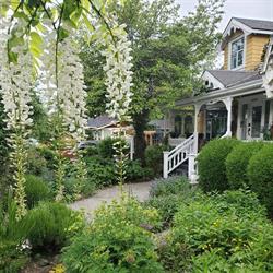 A Cottage & A Castle, Chemainus, BC opening hours