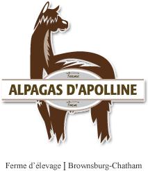 Alpagas d'Apolline, Saint-Apollinaire, QC opening hours