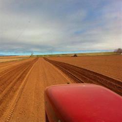 Atlantic Precision Agricultural Services Inc., Coleman, PE opening hours