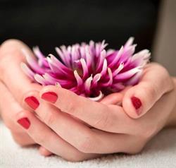 Atmosphere Day Spa, Hammonds Plains, NS opening hours