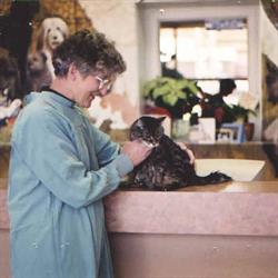 Beck Veterinary Clinic in Edmonton, AB (North Central Edmonton) - Opening Hours