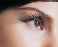 Best Toronto Lashes, Thornhill, ON opening hours