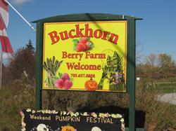 Buckhorn Berry Farm, Lakefield, ON opening hours