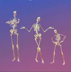 Burlington Osteopaths, opening hours