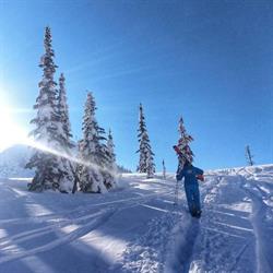 Canadian Powder Tours, Fernie, BC opening hours