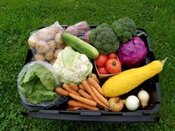 Crystal Green Farms, Bedeque, PE opening hours