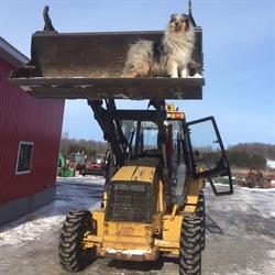 D&A Tractor Sales Lt, Alexandria, ON opening hours