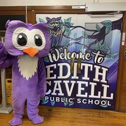Edith Cavell Public School, St. Catharines, ON opening hours
