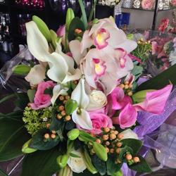 Evolution Flowers & Gifts Ltd, Toronto, ON opening hours