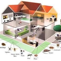 Mr Rescue Pest Control, Mississauga, ON opening hours