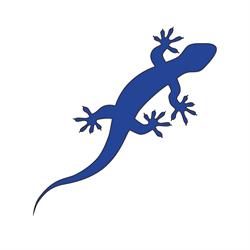 Gecko Websites, Waterloo, ON opening hours