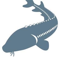 Fraser River Sturgeon Conservation Society, Vancouver, BC opening hours