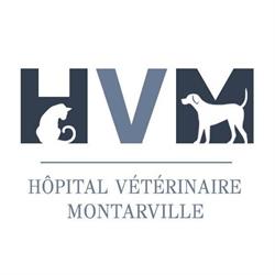 Hôpital vétérinaire Montarville, Saint-Bruno, QC opening hours