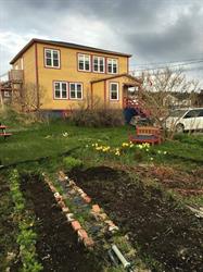 Java Jack's Restaurant & Gallery, Rocky Harbour, NL opening hours