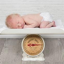 Kreative Edge Portrait Studio, Stoney Creek, ON opening hours