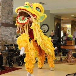 Lion Dance Toronto, opening hours